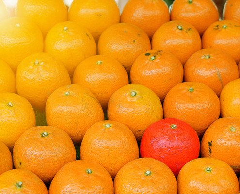 Individuelle Angebote - Meditation - Maßgeschneidert Lösungen Individuelle Angebote - Meditation - Maßgeschneidert Lösungen